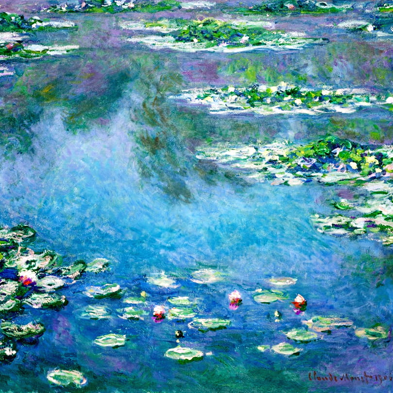 Water Lilies