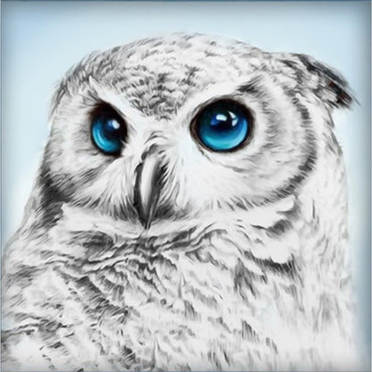 Hibou