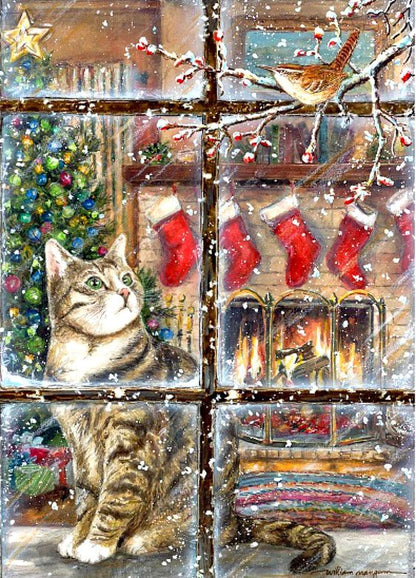 Chat de Noël